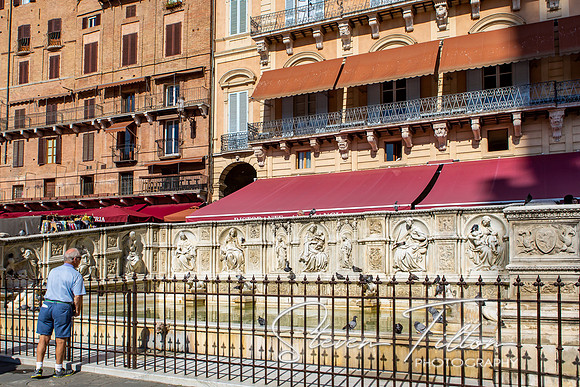 Fonte Gaia