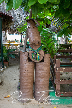 Puerto Vallarta, Mexico