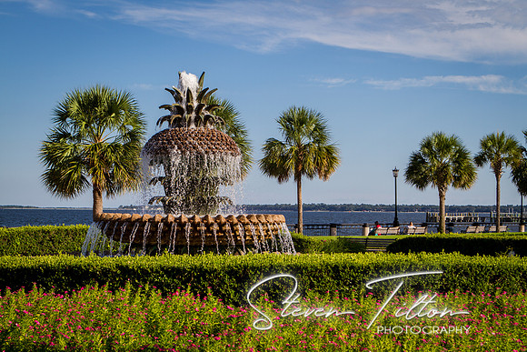 Charleston, SC