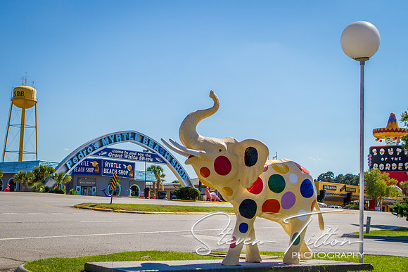 South of the Border