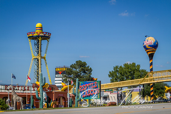 South of the Border