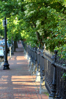 Brick sidewalk