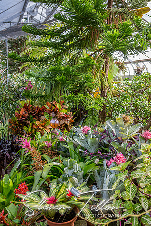 Windmill Island Gardens
