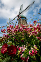 Windmill Island Gardens