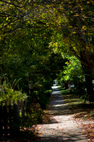 Historic Wake Forest
