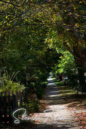 Historic Wake Forest