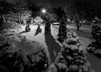 January Snow