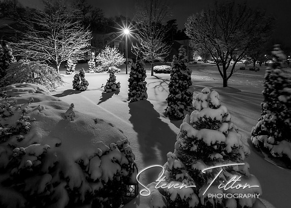 January Snow