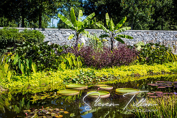 Biltmore Estates
