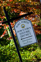 Historic Wake Forest