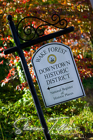 Historic Wake Forest