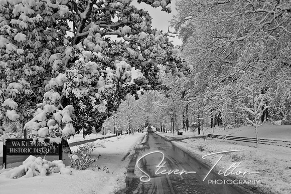Christmas Snow