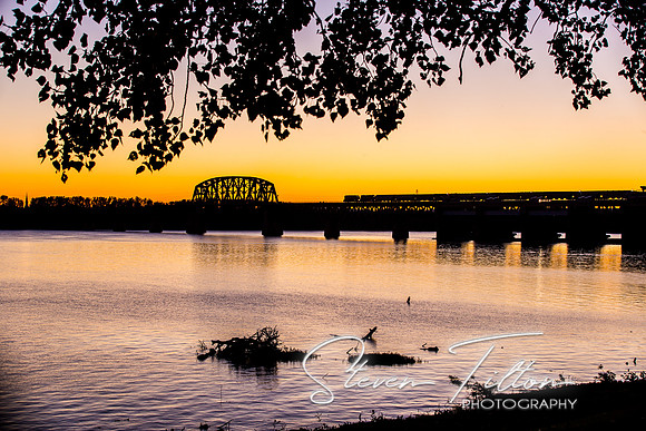 Louisville, Kentucky Skyline