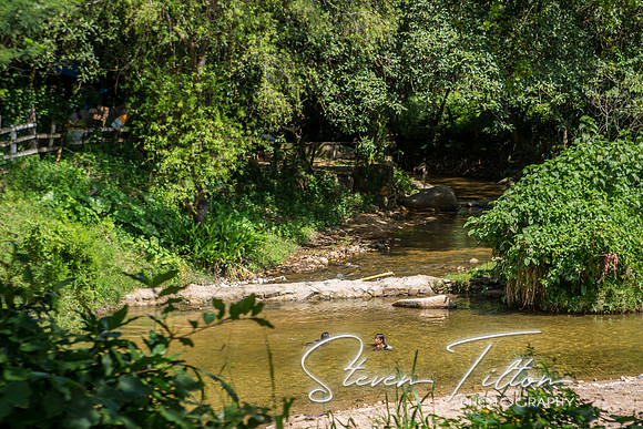 Sierra Madre del Sur, Mexico