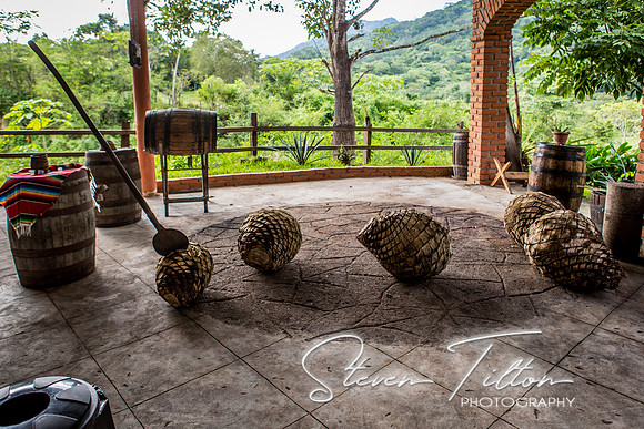 Sierra Madre del Sur, Mexico