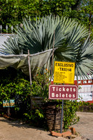 Sierra Madre del Sur, Mexico