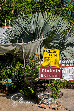 Sierra Madre del Sur, Mexico