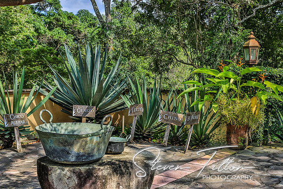 Sierra Madre del Sur, Mexico