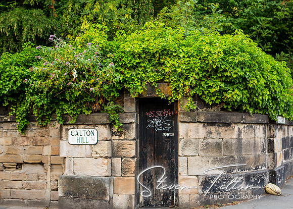 A Lonely Door