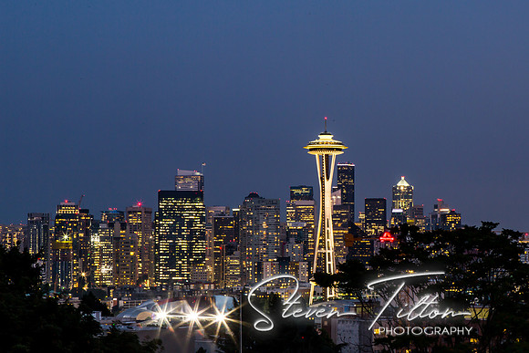 Seattle Washington Skyline