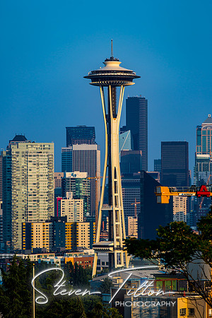 Seattle Washington Skyline