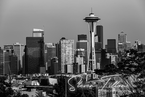 Seattle Washington Skyline