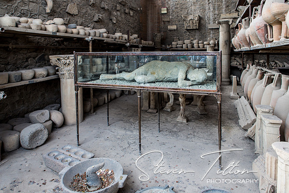 Pompei Artifacts