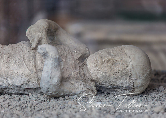 Pompei Artifacts