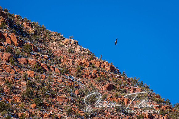 Vrede Canyon Railroad