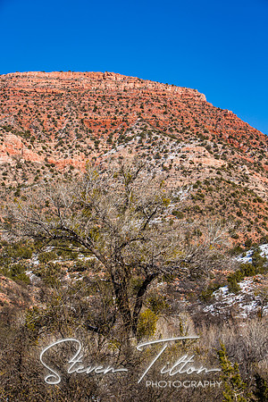 Vrede Canyon Railroad