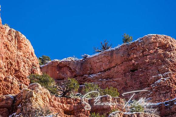 Vrede Canyon Railroad