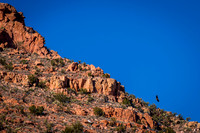 Vrede Canyon Railroad