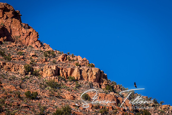 Vrede Canyon Railroad