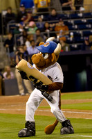 Durham Bulls Baseball Game