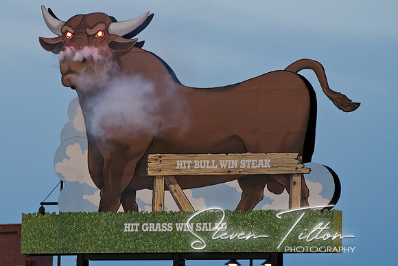 Durham Bulls Baseball Game
