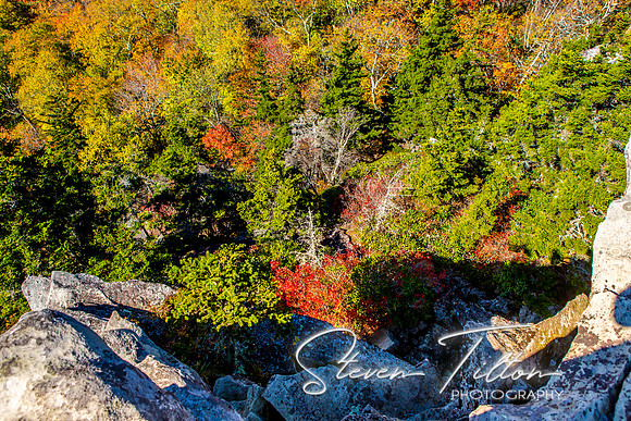 Mountain Visit