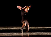 DDI Summer Gala 2015
