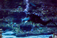 Aquarium at Ft. Fisher