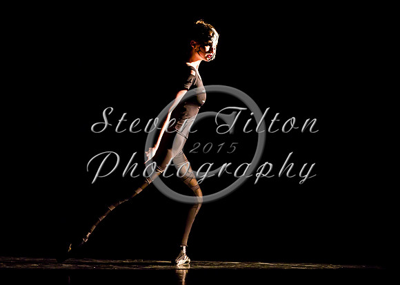 DDI Summer Gala 2015