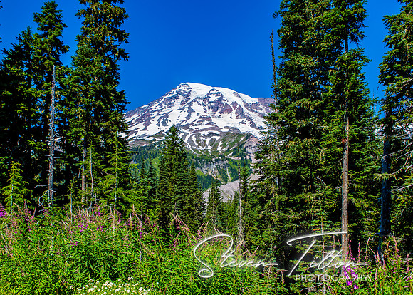 Mount Rainier National Park