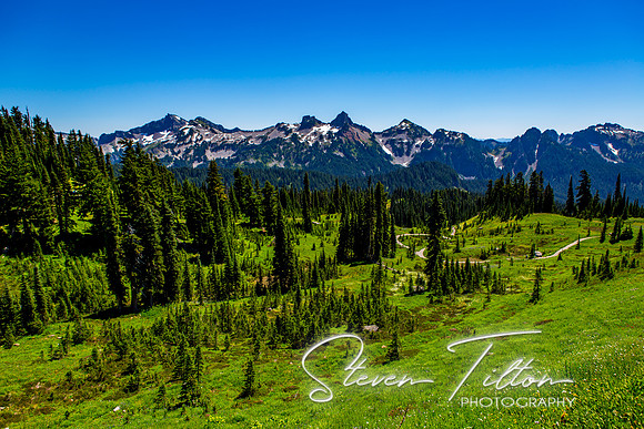 Mount Rainier National Park