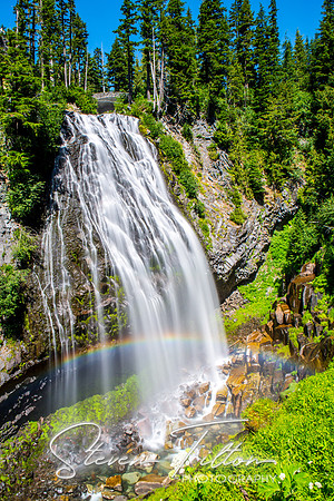 Mount Rainier National Park