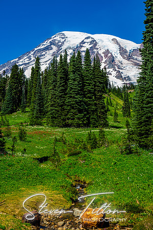 Mount Rainier National Park