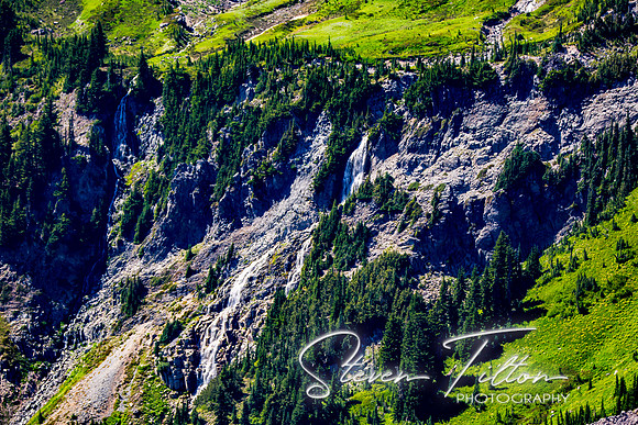 Mount Rainier National Park