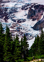 Mount Rainier National Park