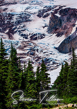 Mount Rainier National Park