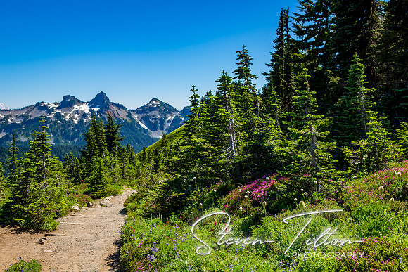 Mount Rainier National Park