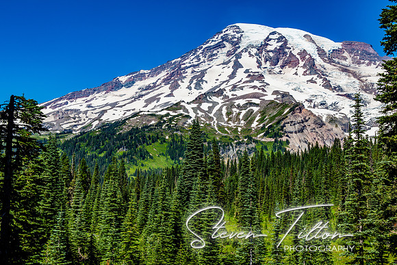 Mount Rainier National Park