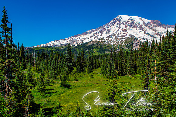 Mount Rainier National Park