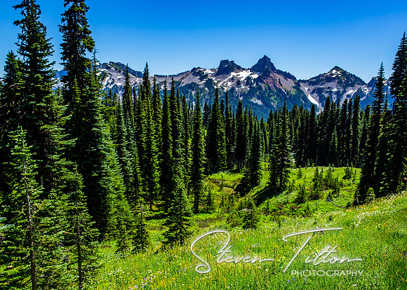 Mount Rainier National Park